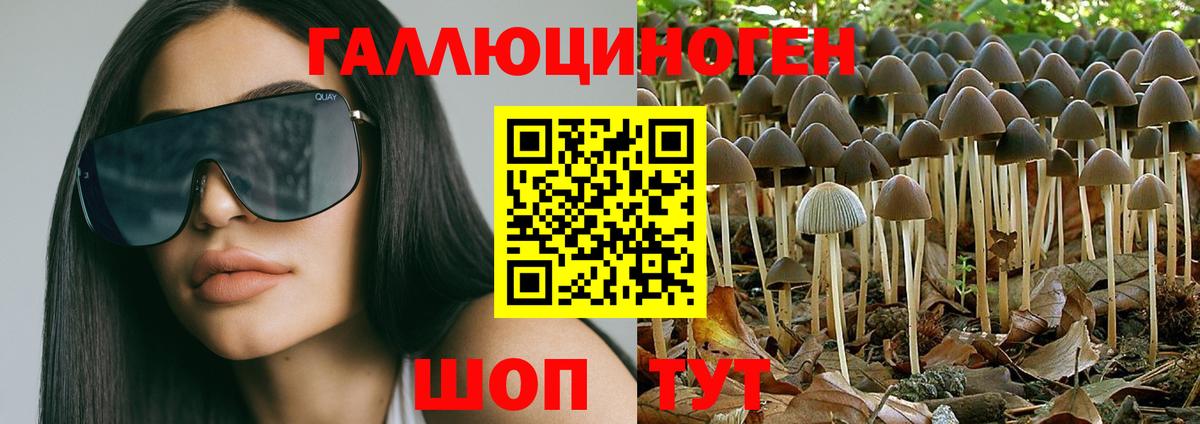 Старая Купавна  Псилоцибиновые грибы мицелий  Галлюциногенные грибы мицелий  закладка  Вход с VPN 