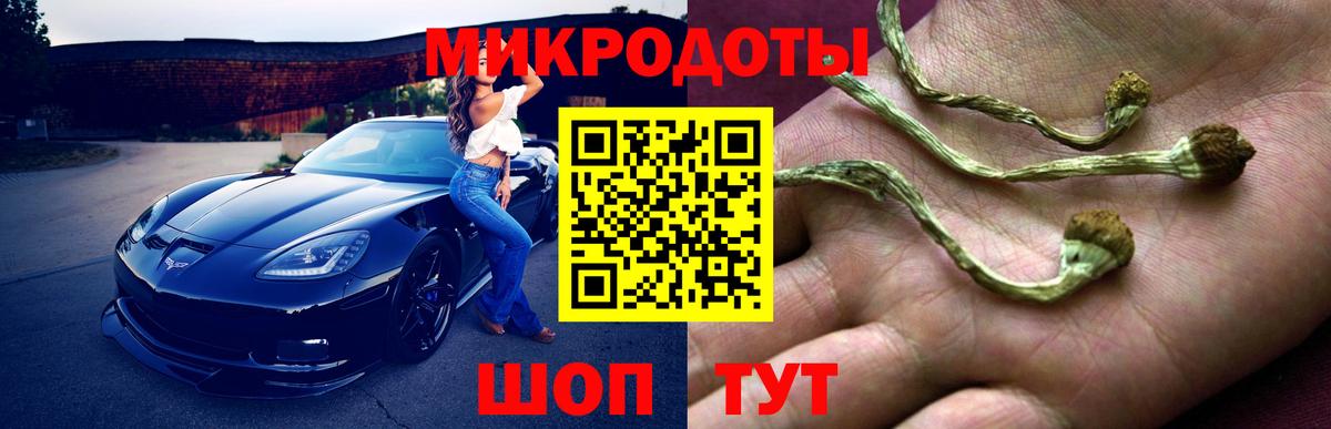 Псилоцибиновые грибы Psilocybine cubensis Старая Купавна